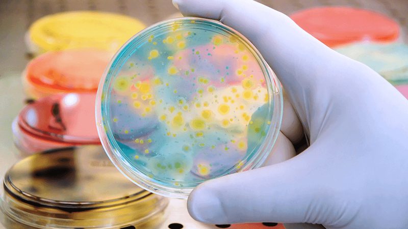 生物科技公司规模揭秘：如何分类与识别**