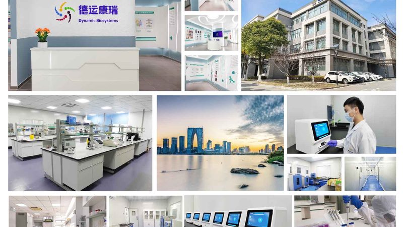 微生物培养基配制：关键步骤与注意事项**