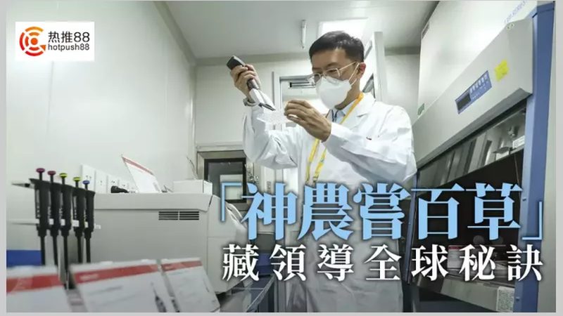 细胞培养污染：如何有效预防和处理？**