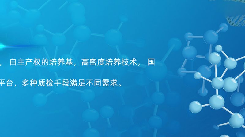 细胞培养代理解析：揭秘高效细胞培养的关键**