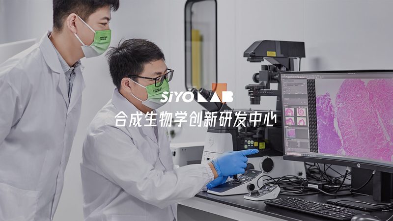 生物试剂使用攻略：如何最大化实验效果**