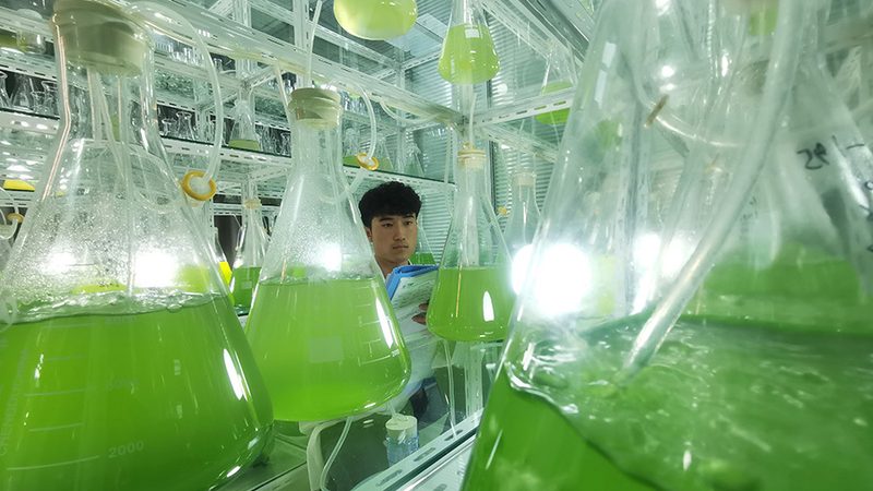 细胞培养基品牌选择，揭秘其背后的关键因素