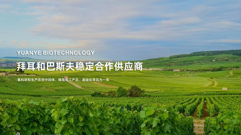 基因检测与筛查：揭秘批发价格背后的真相