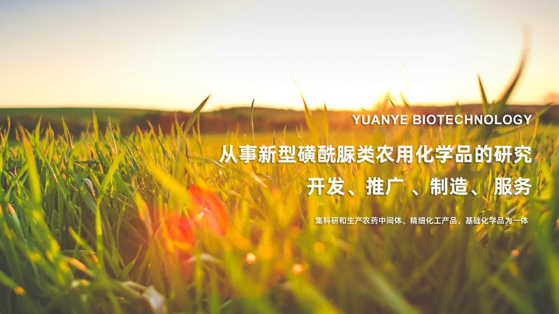 引言：引物在分子生物学研究中的重要性