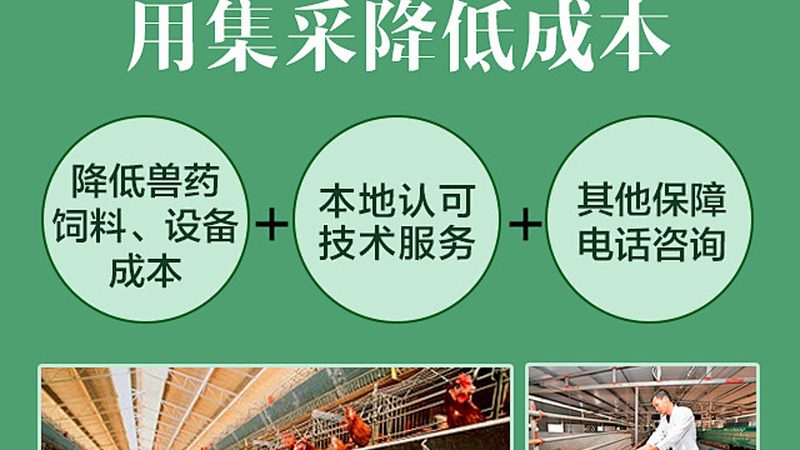 参数解析：关键指标识别